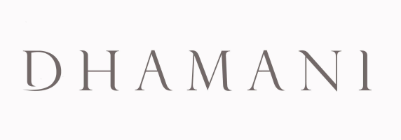 The Dhamani Group's Academy